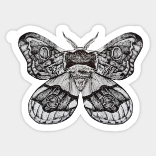 Pen and Ink Moth Sticker